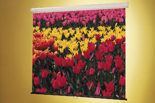 Projection Screen is ideal for conference, lecture and training rooms. Steel case encloses dependable, top-quality screen. Fabrik-Lok roller and friction-free case design prevent viewing surface damage. Mounts on wall, ceiling or map rail. Fiberglass Matte White or Glass Beaded surface